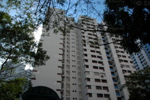 Blk 534 Jelapang Road (Bukit Panjang), HDB 5 Rooms #224442
